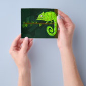 Prospectus 11,4 Cm X 14,2 Cm Caméléon vert mignon (main)