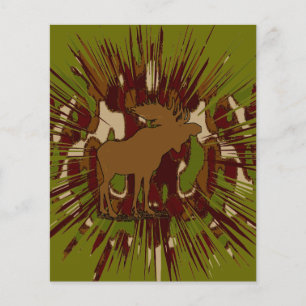 Prospectus 11,4 Cm X 14,2 Cm Camouflage Orignal Évasion Camo