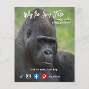 Prospectus 11,4 Cm X 14,2 Cm carte postale immobilière longue face