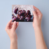 Prospectus 11,4 Cm X 14,2 Cm Cerises (main)