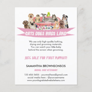 Prospectus 11,4 Cm X 14,2 Cm Chien Chat Bird Hotel Cana Animaux Services