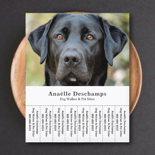 Prospectus 11,4 Cm X 14,2 Cm Chien Walker Animal Sitter Photo Tear Off Strips F