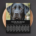Prospectus 11,4 Cm X 14,2 Cm Chien Walker Animal Sitter Photo Tear Off Strips F<br><div class="desc">Un flyer noir élégant et minimaliste avec des bandes Tear Off avec une photo personnalisable d'un Labrador noir mignon, parfait pour marcheur de chien & animal de compagnie, éducateur de comportement canin, toiletteur. Vous pouvez remplacer la photo par votre propre logo ! A l'arrière se trouve un motif de pattes...</div>