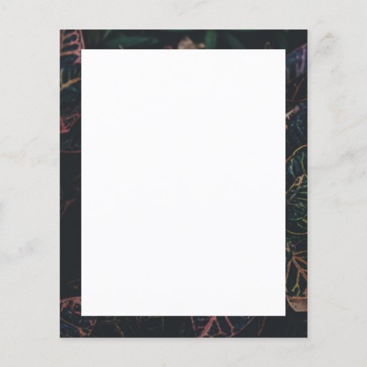 Prospectus 11,4 Cm X 14,2 Cm Circulaire Mariage Imaginaire (Dos)