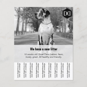 Prospectus 11,4 Cm X 14,2 Cm Circulaire "Vendeur"