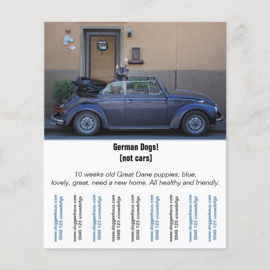 Prospectus 11,4 Cm X 14,2 Cm Circulaire "Vendeur automobile" (Devant)