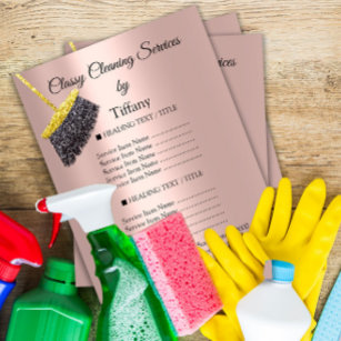 Prospectus 11,4 Cm X 14,2 Cm Classy Cleaning Services House Keeping Maid Price