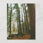 Prospectus 11,4 Cm X 14,2 Cm Coque de spectre (Dos)