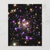 Prospectus 11,4 Cm X 14,2 Cm Créez votre propre personnalisation (Dos)