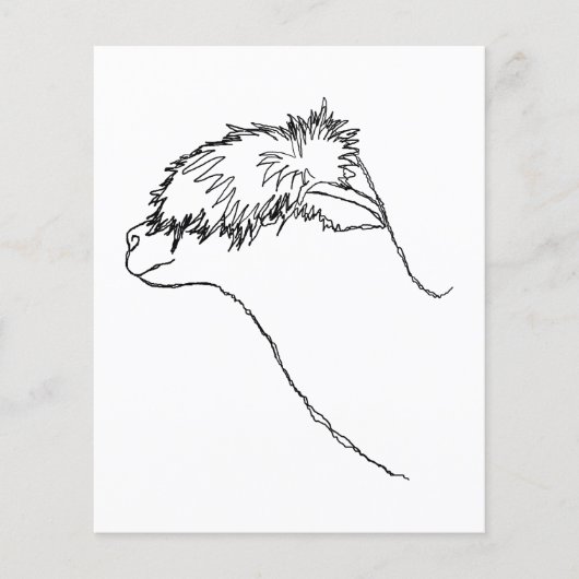 Prospectus 11,4 Cm X 14,2 Cm Croquis d'alpaga. (Devant)