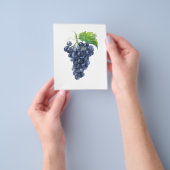 Prospectus 11,4 Cm X 14,2 Cm Des raisins. Aquarelle (main)