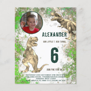 Prospectus 11,4 Cm X 14,2 Cm Dinosaur Boys Anniversaire de la fête Photo Budget
