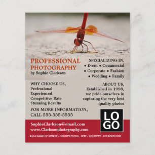 Prospectus 11,4 Cm X 14,2 Cm Dragonfly rouge, photographie, location de photogr