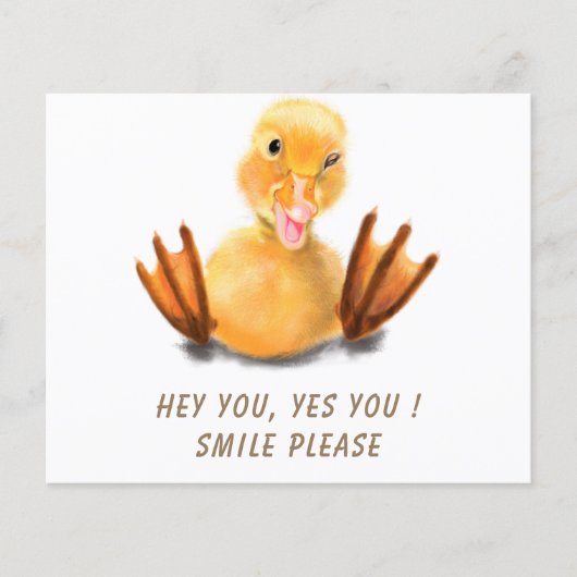 Prospectus 11,4 Cm X 14,2 Cm Drôle Duck Flyers (Devant)