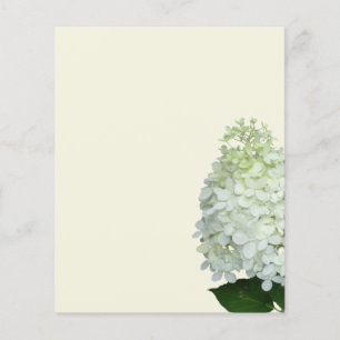 Prospectus 11,4 Cm X 14,2 Cm Fleur d'hortensia blanche Papier écru vierge