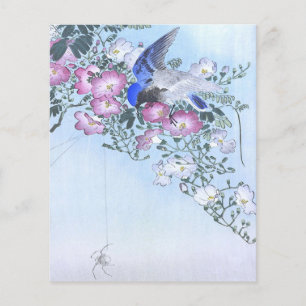 Prospectus 11,4 Cm X 14,2 Cm Fleur d'oiseau araignée bleue impression   Amoureu