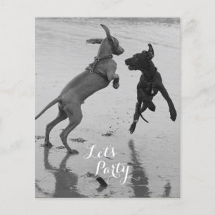 Prospectus 11,4 Cm X 14,2 Cm Flyer d'anniversaire de chiens