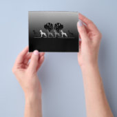 Prospectus 11,4 Cm X 14,2 Cm Flyer Doggen (main)