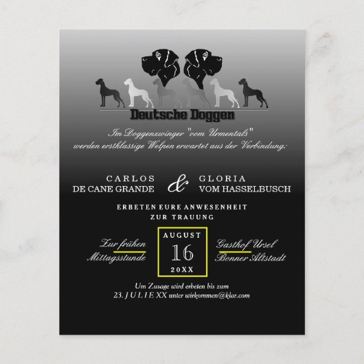 Prospectus 11,4 Cm X 14,2 Cm Flyer Doggen (Dos)