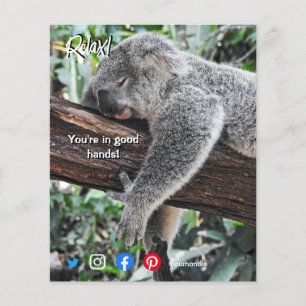 Prospectus 11,4 Cm X 14,2 Cm funny real estate postcard relaxed koala
