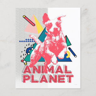 Prospectus 11,4 Cm X 14,2 Cm Happy dog canvas print Cadeau amoureux mignon