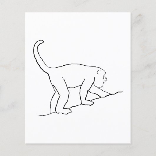Prospectus 11,4 Cm X 14,2 Cm Howler Monkey, Marche. (Devant)