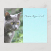 Prospectus 11,4 Cm X 14,2 Cm Kitty gris avec bleu (Dos)