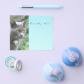 Prospectus 11,4 Cm X 14,2 Cm Kitty gris avec bleu (Simple)