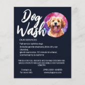 Prospectus 11,4 Cm X 14,2 Cm lave-linge (Devant)