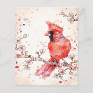 Prospectus 11,4 Cm X 14,2 Cm Le design coloré des oiseaux Cadeau Art Lover