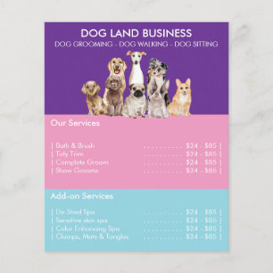 Prospectus 11,4 Cm X 14,2 Cm Liste de prix pour le toilettage de chien violet b