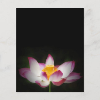 Prospectus 11,4 Cm X 14,2 Cm Lotus Flower Photographie Super Yoga Om Cadeau!