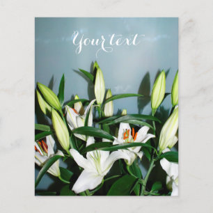 Prospectus 11,4 Cm X 14,2 Cm Lys blancs