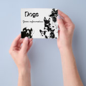 Prospectus 11,4 Cm X 14,2 Cm Marche-chien Circulaire 2 (main)