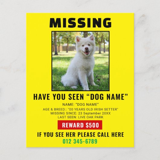 Prospectus 11,4 Cm X 14,2 Cm Missing Pet Dog – Urgent Template Poster (Devant)
