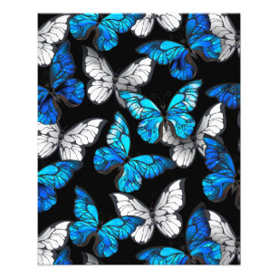 Prospectus 11,4 Cm X 14,2 Cm Motif sans couleur foncée avec papillons bleus Mor