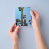 Prospectus 11,4 Cm X 14,2 Cm Palmiers d'été (main)