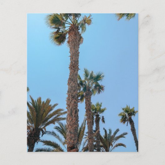 Prospectus 11,4 Cm X 14,2 Cm Palmiers d'été (Devant)