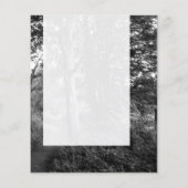 Prospectus 11,4 Cm X 14,2 Cm Panel 013 - Dans les bois (Dos)