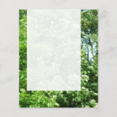 Prospectus 11,4 Cm X 14,2 Cm Panel 024 - Summer Breeze (Dos)