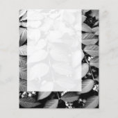 Prospectus 11,4 Cm X 14,2 Cm Panel 037 - Feuille (Dos)