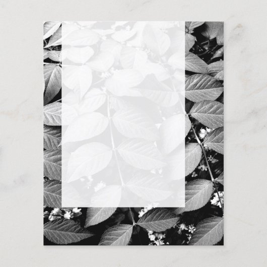 Prospectus 11,4 Cm X 14,2 Cm Panel 037 - Feuille (Dos)