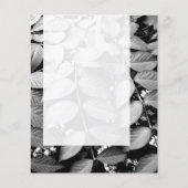 Prospectus 11,4 Cm X 14,2 Cm Panel 037 - Feuille (Devant)