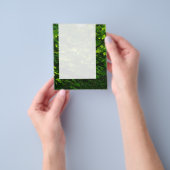 Prospectus 11,4 Cm X 14,2 Cm Panel 039 - Feuilles d'été (main)