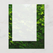 Prospectus 11,4 Cm X 14,2 Cm Panel 039 - Feuilles d'été (Dos)