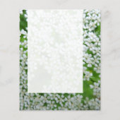 Prospectus 11,4 Cm X 14,2 Cm Panneau 02 - Persil de vache (Dos)