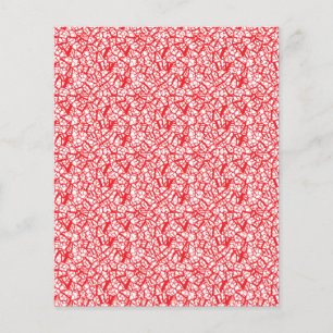 Prospectus 11,4 Cm X 14,2 Cm Papier d'emballage rouge et orange avec un mot géo