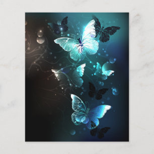 Prospectus 11,4 Cm X 14,2 Cm Papillons de nuit