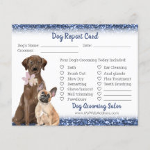 Parties scintillant bleue Chien Grooming Report Ca