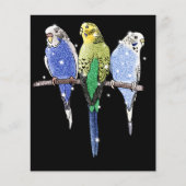 Prospectus 11,4 Cm X 14,2 Cm Parties scintillant Budgie Budgerigar (Devant)